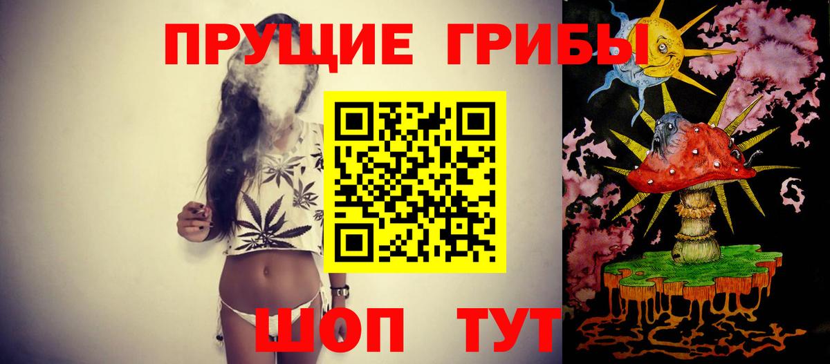 Галлюциногенные грибы GOLDEN TEACHER Киселёвск